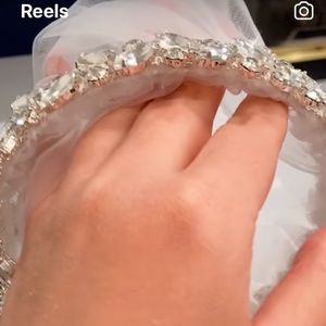 Cathedral veil with diamond details